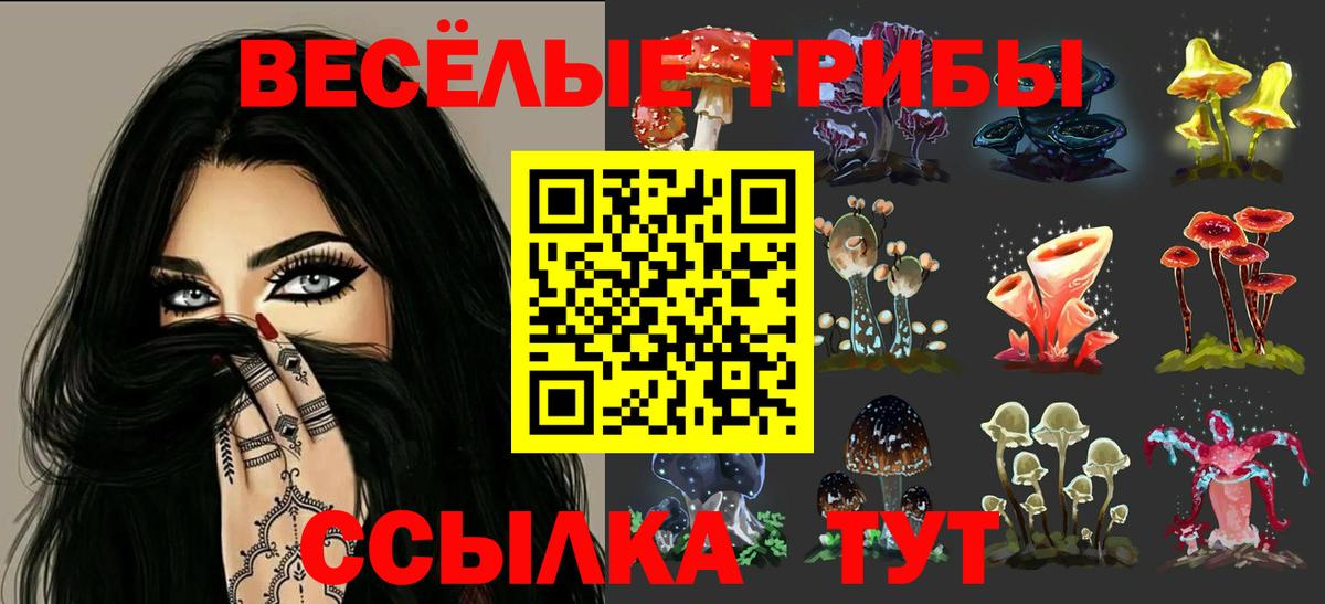 Галлюциногенные грибы MAGIC MUSHROOMS Междуреченск